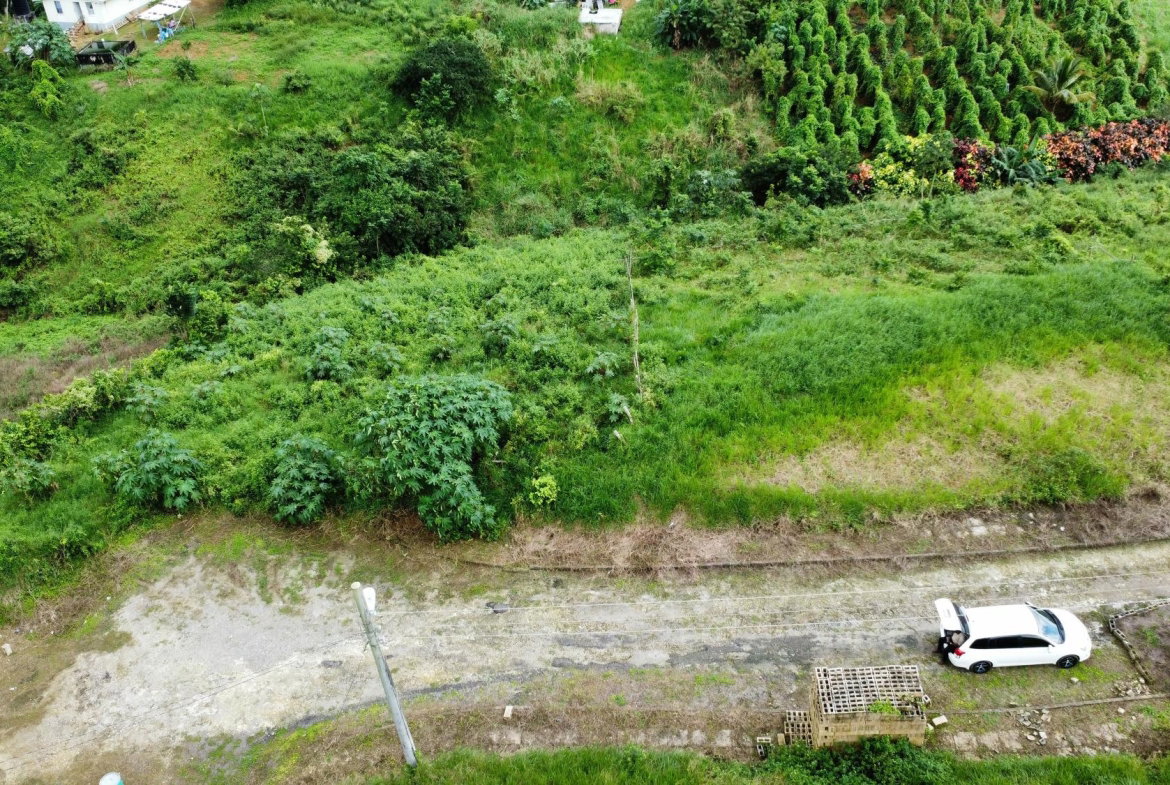Fifth image of 63- The Thicketts, Hermitage in Hermitage, St. Ann, Jamaica - property is For Sale