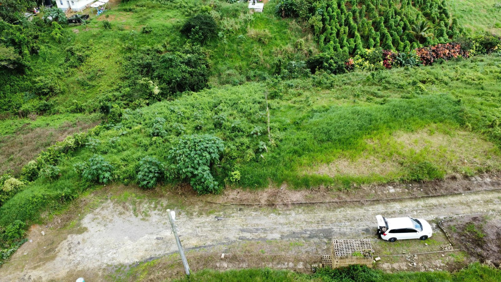 Fifth image of 63- The Thicketts, Hermitage in Hermitage, St. Ann, Jamaica - property is For Sale
