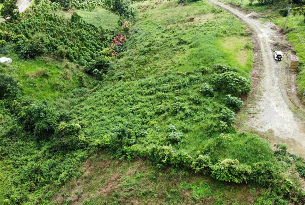 Sixth image of 63- The Thicketts, Hermitage in Hermitage, St. Ann, Jamaica - property is For Sale