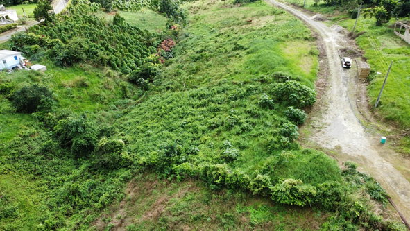Sixth image of 63- The Thicketts, Hermitage in Hermitage, St. Ann, Jamaica - property is For Sale