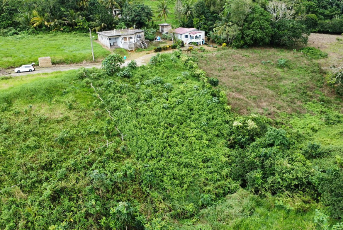 Seventh image of 63- The Thicketts, Hermitage in Hermitage, St. Ann, Jamaica - property is For Sale