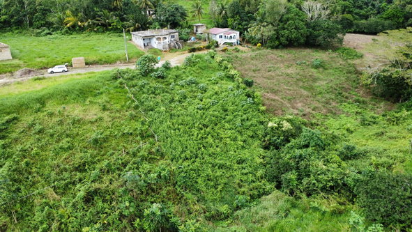 Seventh image of 63- The Thicketts, Hermitage in Hermitage, St. Ann, Jamaica - property is For Sale
