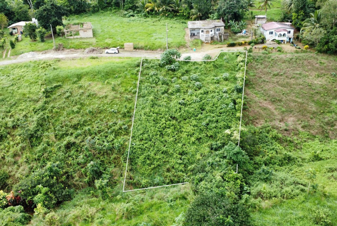 Eighth image of 63- The Thicketts, Hermitage in Hermitage, St. Ann, Jamaica - property is For Sale