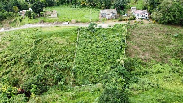 Eighth image of 63- The Thicketts, Hermitage in Hermitage, St. Ann, Jamaica - property is For Sale