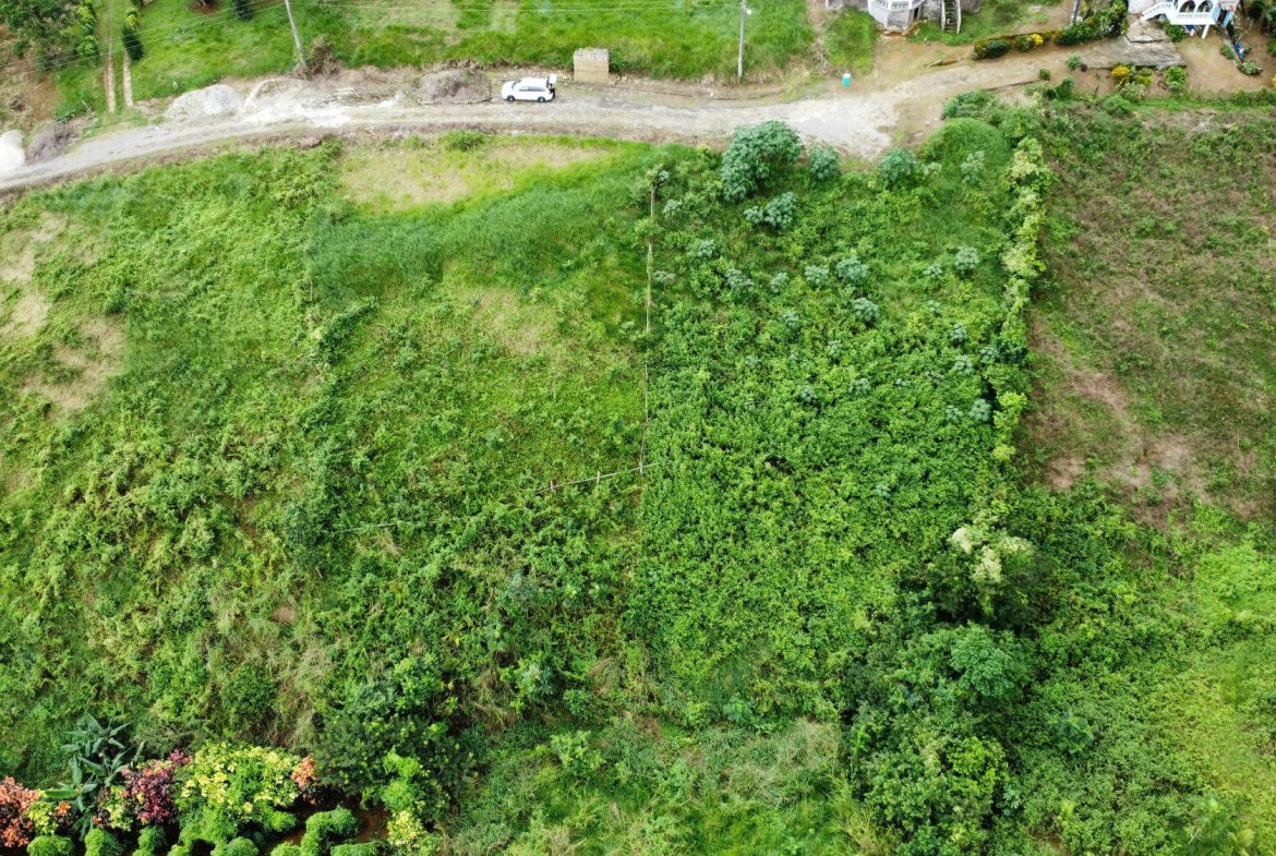Ninth image of 63- The Thicketts, Hermitage in Hermitage, St. Ann, Jamaica - property is For Sale