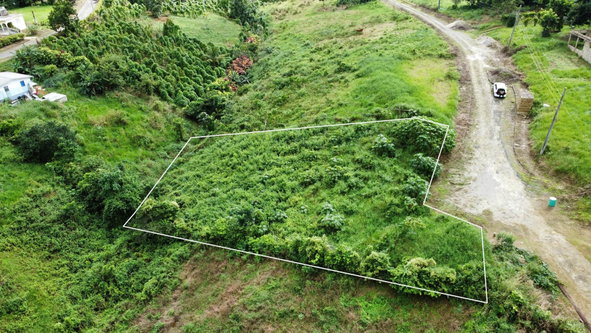 First image of 63- The Thicketts, Hermitage in Hermitage, St. Ann, Jamaica - property is For Sale
