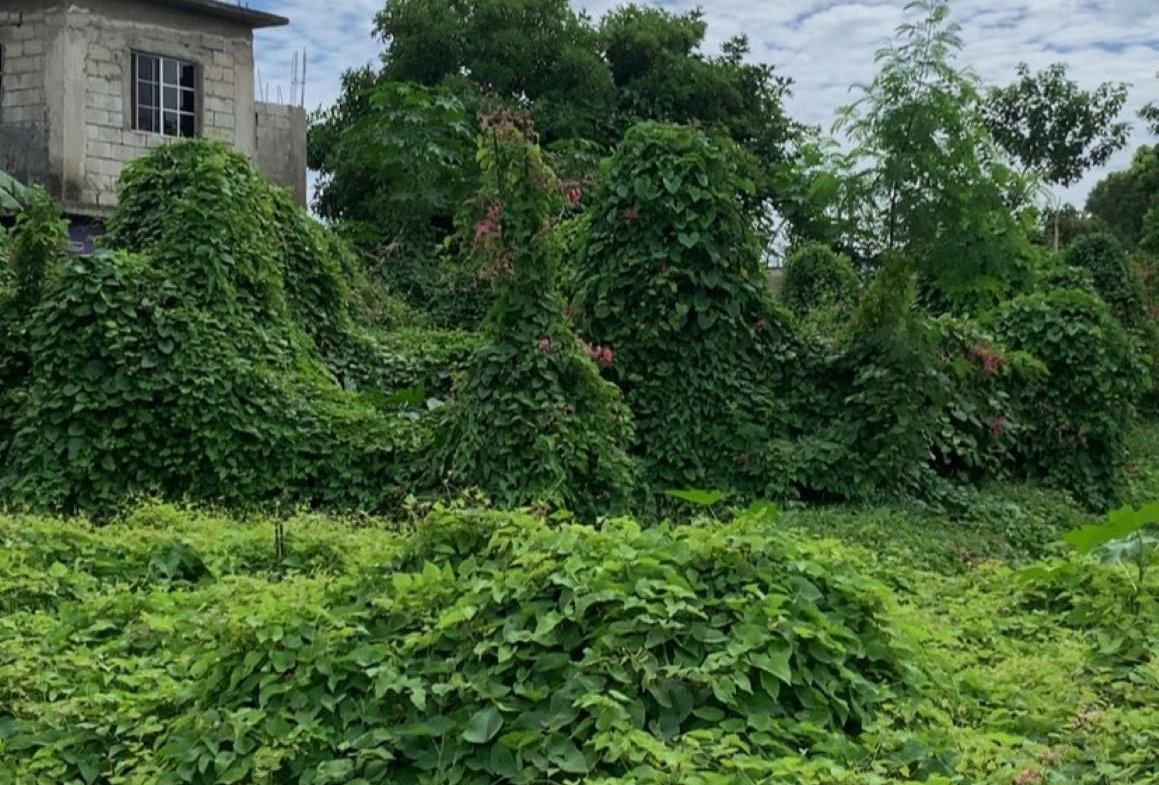 Second image of Lot 706 Palmer Drive in Gregory Park, St. Catherine, Jamaica - property is For Sale