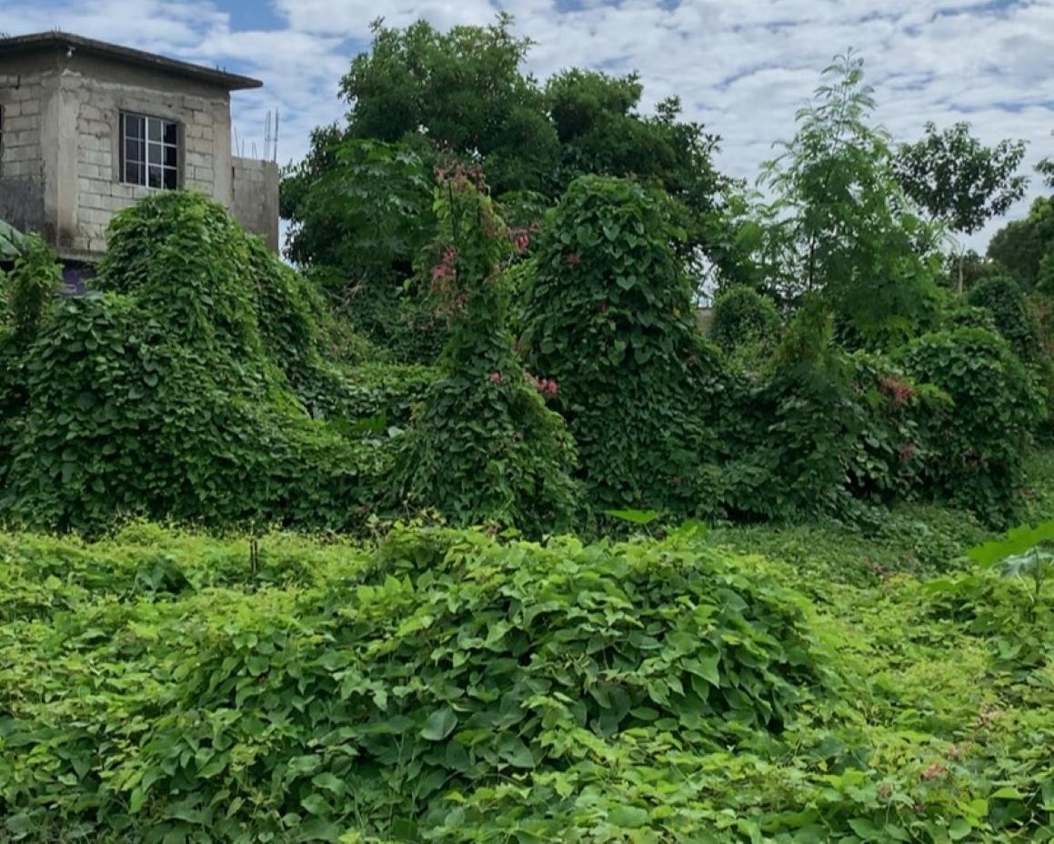 Second image of Lot 706 Palmer Drive in Gregory Park, St. Catherine, Jamaica - property is For Sale