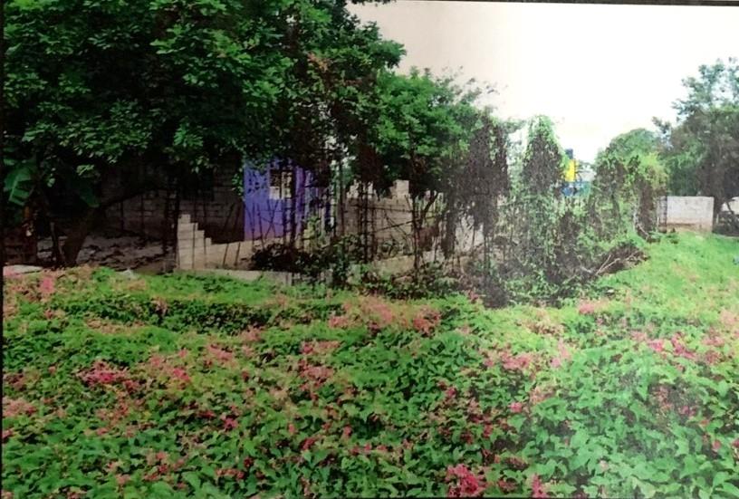 Sixth image of Lot 706 Palmer Drive in Gregory Park, St. Catherine, Jamaica - property is For Sale