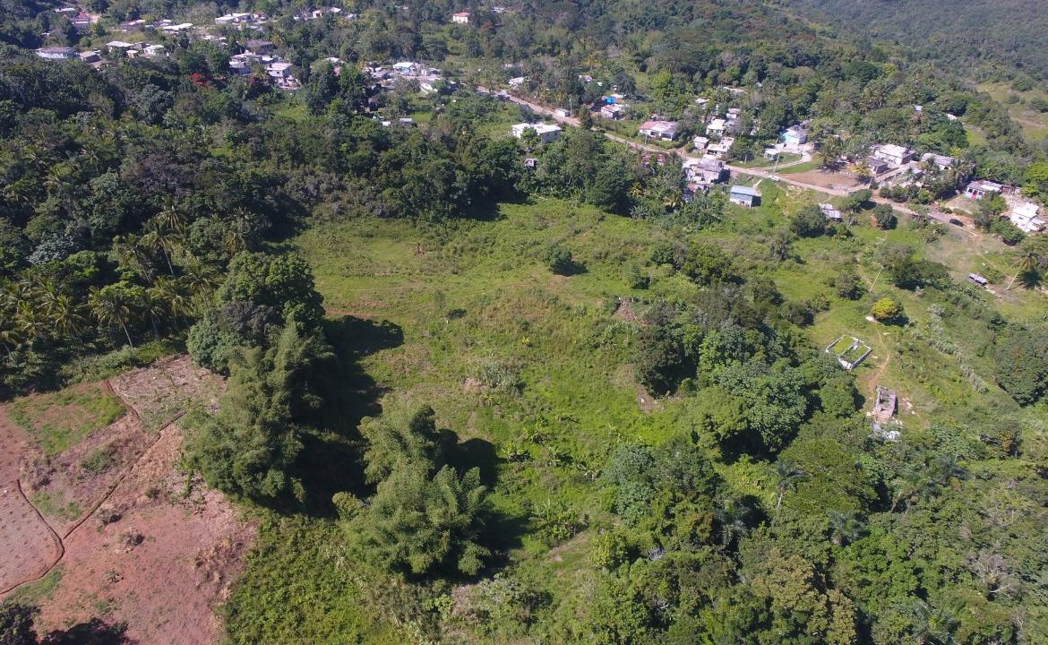 First image of Land Part of Oxford in Point Hill, St. Catherine, Jamaica - property is For Sale