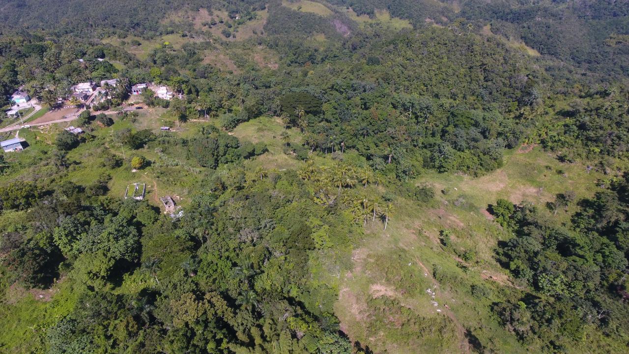 Third image of Land Part of Oxford in Point Hill, St. Catherine, Jamaica - property is For Sale