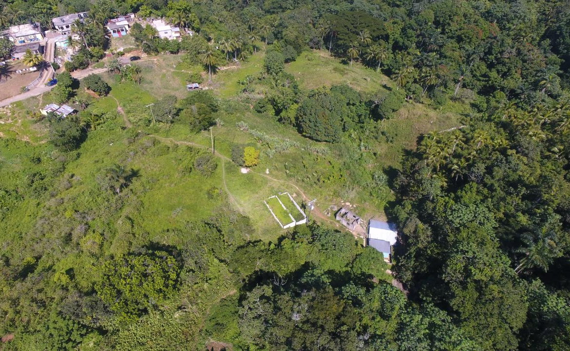 Fourth image of Land Part of Oxford in Point Hill, St. Catherine, Jamaica - property is For Sale