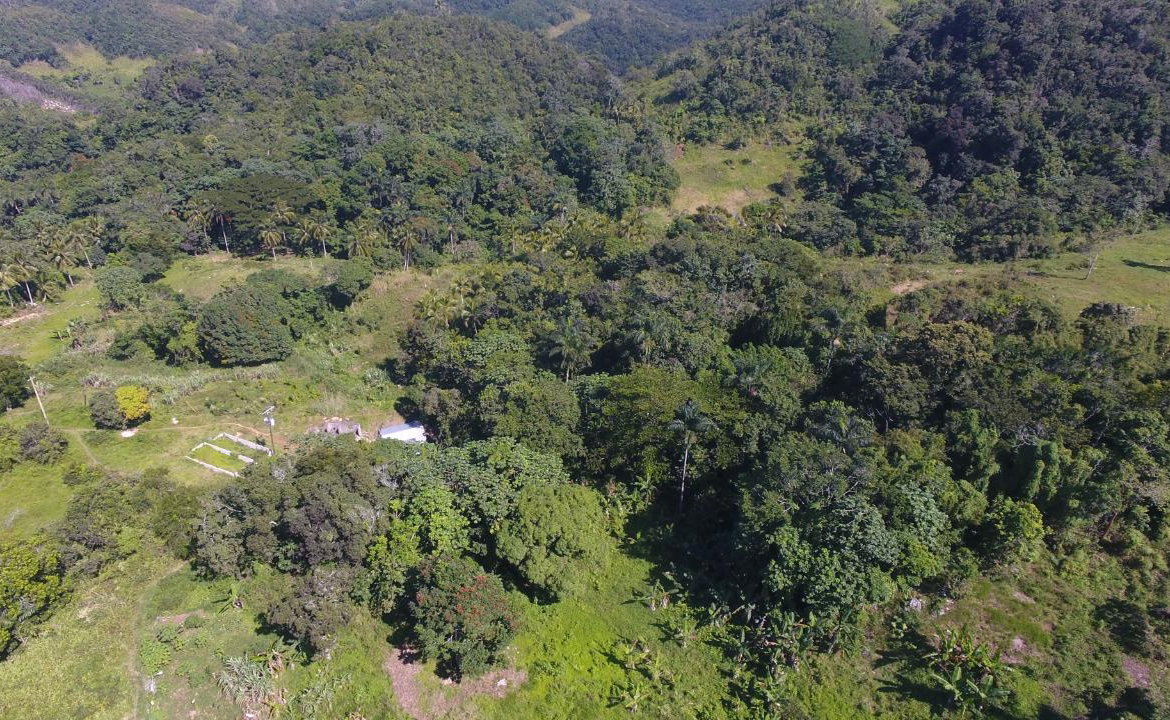 Sixth image of Land Part of Oxford in Point Hill, St. Catherine, Jamaica - property is For Sale