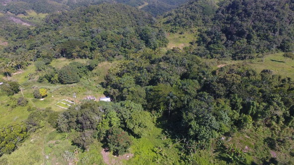 Sixth image of Land Part of Oxford in Point Hill, St. Catherine, Jamaica - property is For Sale