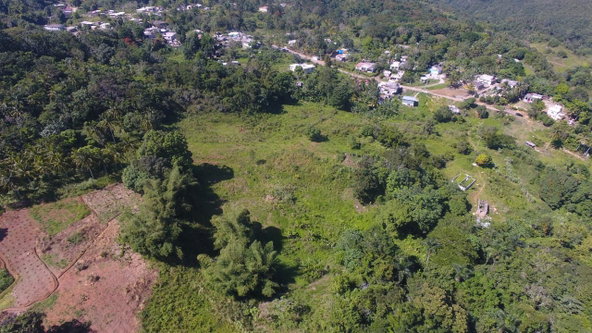 First image of Land Part of Oxford in Point Hill, St. Catherine, Jamaica - property is For Sale