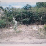 First image of Lot 82 Seawind Avenue, Seafort, in Hellshire Heights, St. Catherine, Jamaica - property is For Sale