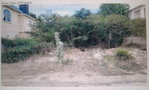 First image of Lot 82 Seawind Avenue, Seafort, in Hellshire Heights, St. Catherine, Jamaica - property is For Sale