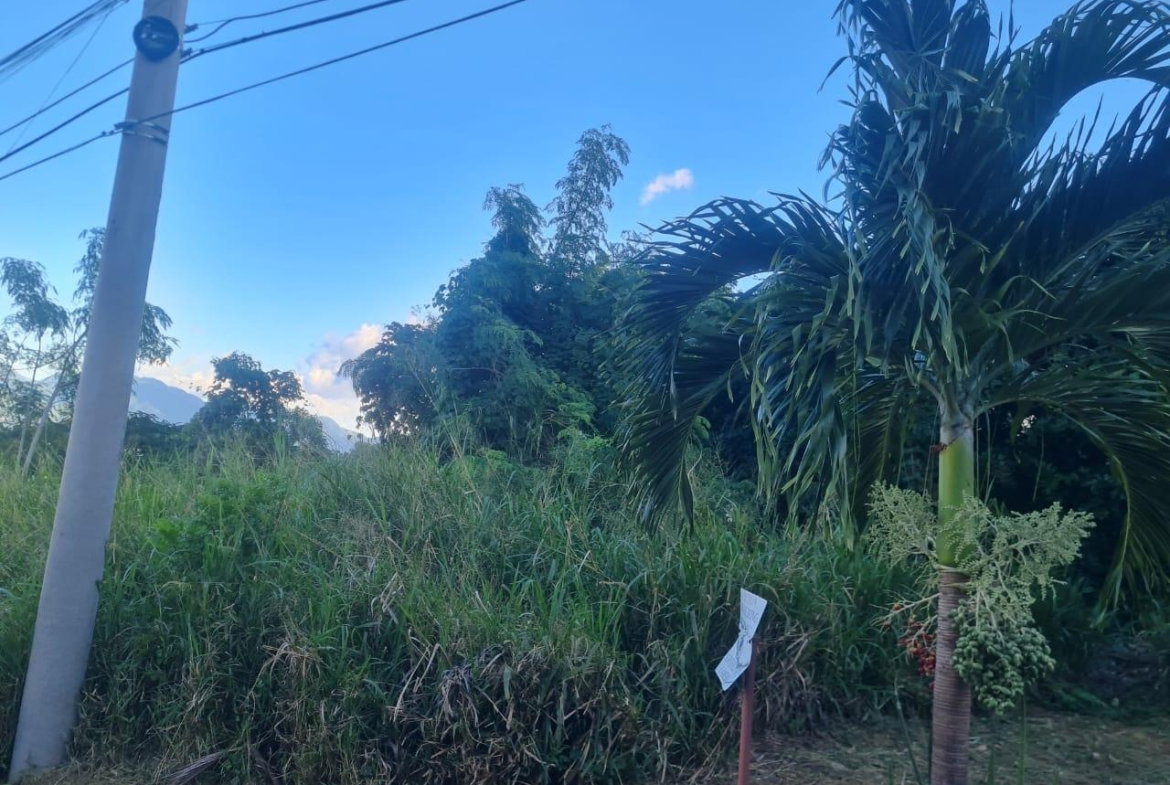 Fourth image of 24 Sterling Heights in Red Hills, St. Andrew, Jamaica - property is For Sale