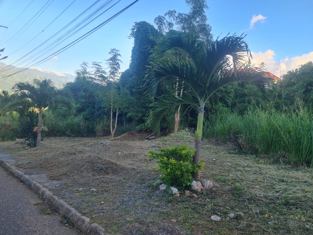 Residential-Lot-for-Sale-in-Jamaica-24-Sterling-Heights First image of 24 Sterling Heights in Red Hills, St. Andrew, Jamaica - property is For Sale