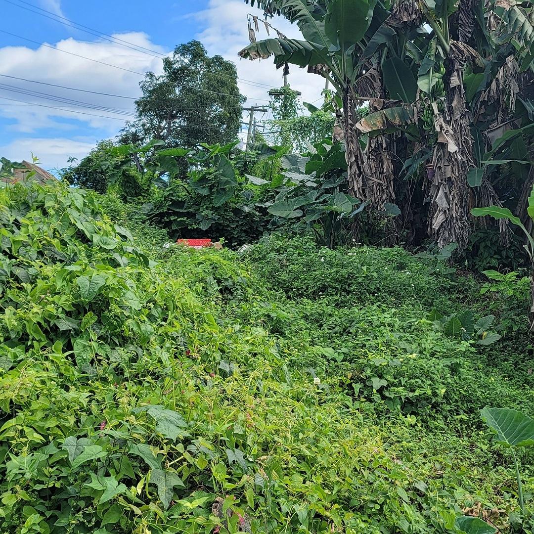 Residential-Lot-for-Sale-in-Linstead-Jamaica-5536.98-sq-ft Second image of Rodney Hall Road, Linstea in Linstead, St. Catherine, Jamaica - property is For Sale