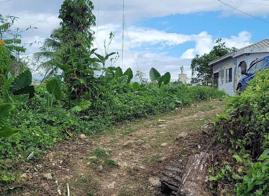 First image of Rodney Hall Road, Linstea in Linstead, St. Catherine, Jamaica - property is For Sale