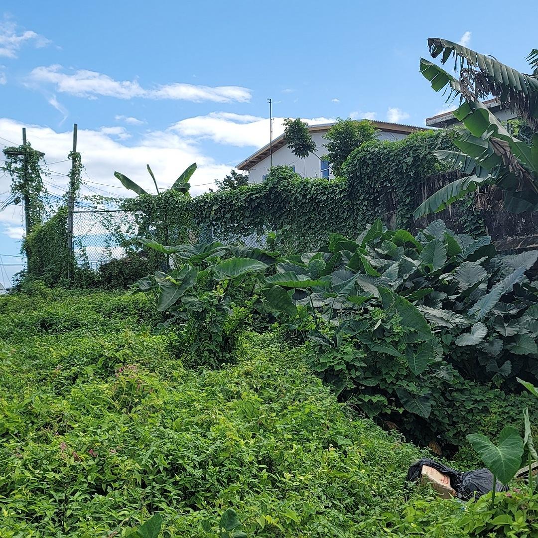Residential-Lot-for-Sale-in-Linstead-Jamaica-5536.98-sq-ft Third image of Rodney Hall Road, Linstea in Linstead, St. Catherine, Jamaica - property is For Sale