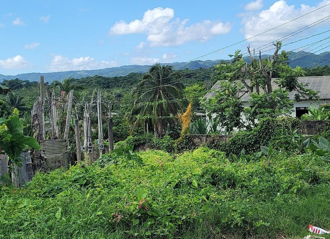 Fourth image of Rodney Hall Road, Linstea in Linstead, St. Catherine, Jamaica - property is For Sale