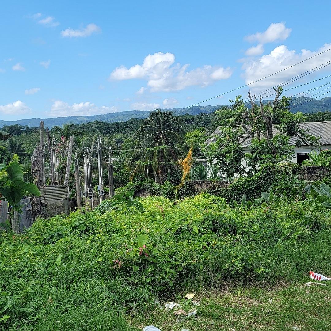 Residential-Lot-for-Sale-in-Linstead-Jamaica-5536.98-sq-ft Fourth image of Rodney Hall Road, Linstea in Linstead, St. Catherine, Jamaica - property is For Sale
