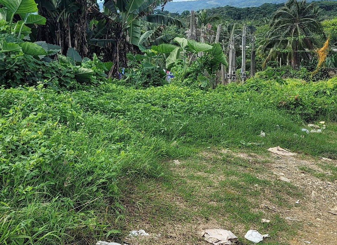 Fifth image of Rodney Hall Road, Linstea in Linstead, St. Catherine, Jamaica - property is For Sale