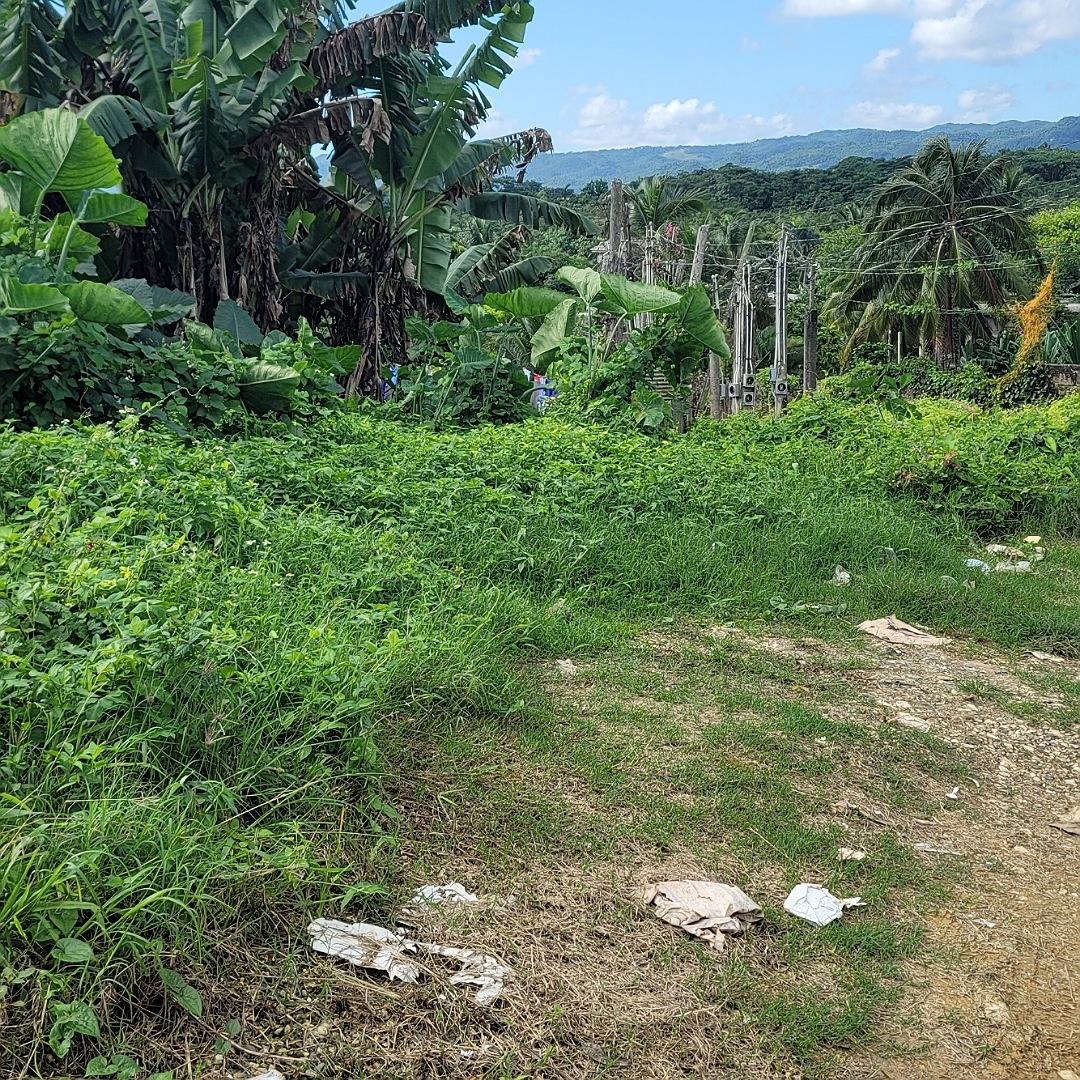 Residential-Lot-for-Sale-in-Linstead-Jamaica-5536.98-sq-ft Fifth image of Rodney Hall Road, Linstea in Linstead, St. Catherine, Jamaica - property is For Sale