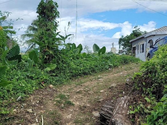 First image of Rodney Hall Road, Linstea in Linstead, St. Catherine, Jamaica - property is For Sale