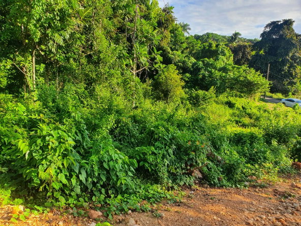 Second image of Macca Tree in Macca Tree, St. Catherine, Jamaica - property is For Sale