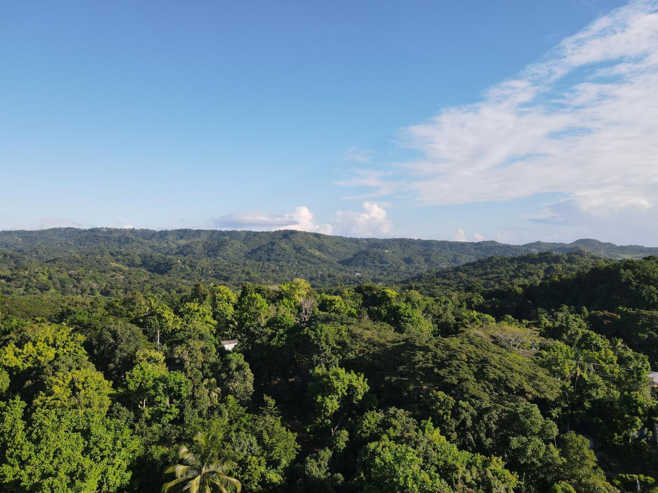 Eleventh image of Macca Tree in Macca Tree, St. Catherine, Jamaica - property is For Sale