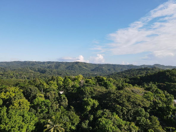 Eleventh image of Macca Tree in Macca Tree, St. Catherine, Jamaica - property is For Sale