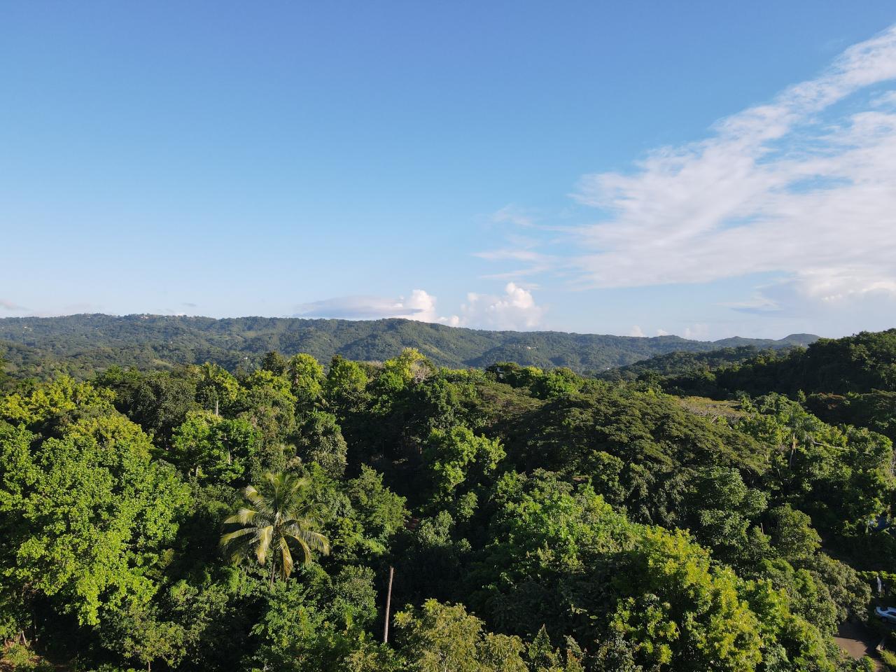 Sixth image of Macca Tree in Macca Tree, St. Catherine, Jamaica - property is For Sale