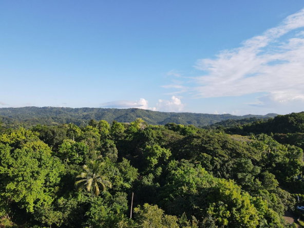 Sixth image of Macca Tree in Macca Tree, St. Catherine, Jamaica - property is For Sale