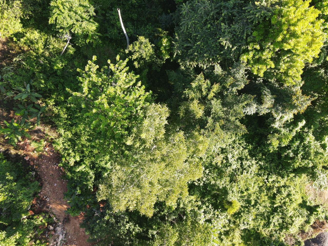 Seventh image of Macca Tree in Macca Tree, St. Catherine, Jamaica - property is For Sale