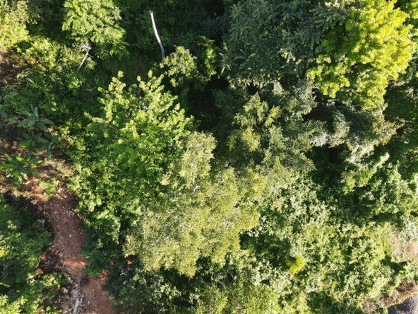 Seventh image of Macca Tree in Macca Tree, St. Catherine, Jamaica - property is For Sale