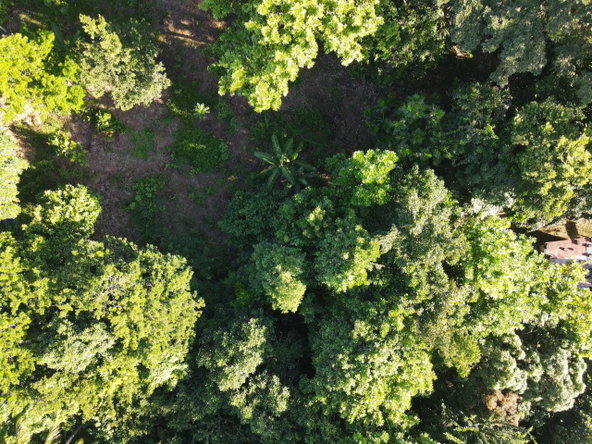 Eighth image of Macca Tree in Macca Tree, St. Catherine, Jamaica - property is For Sale