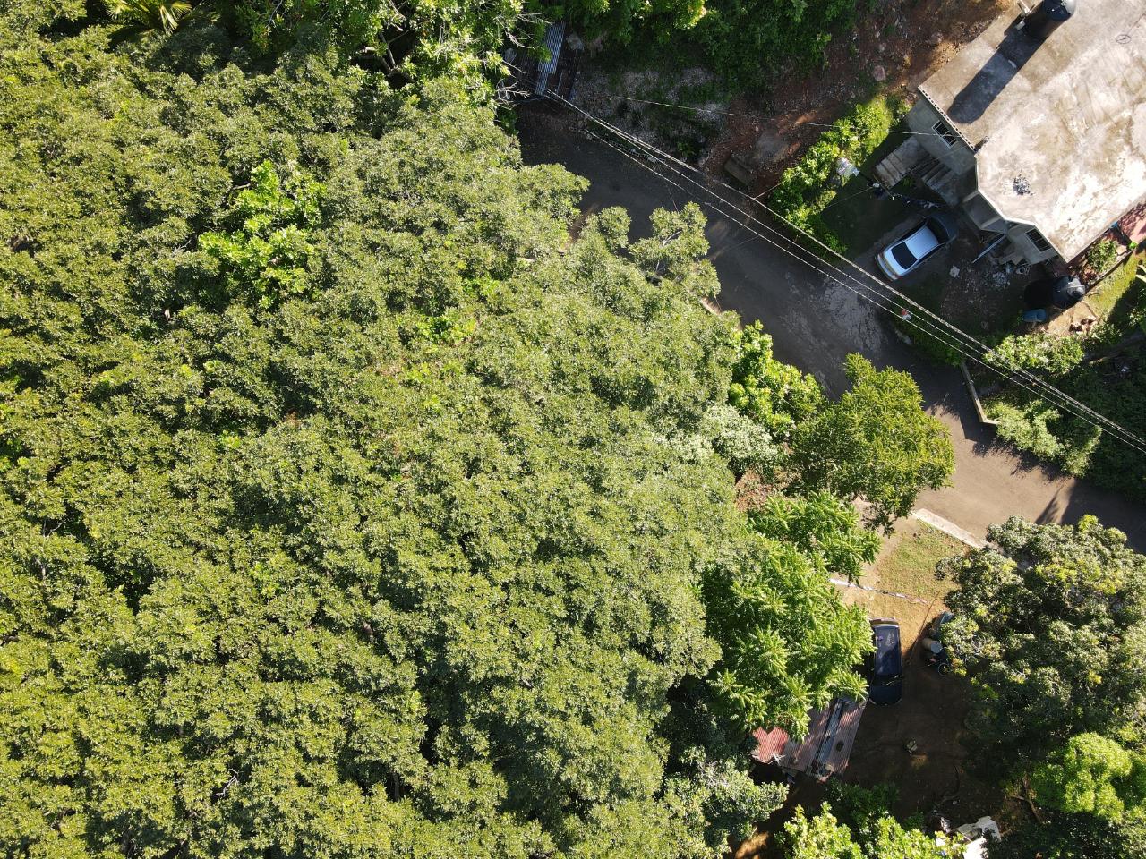 Ninth image of Macca Tree in Macca Tree, St. Catherine, Jamaica - property is For Sale