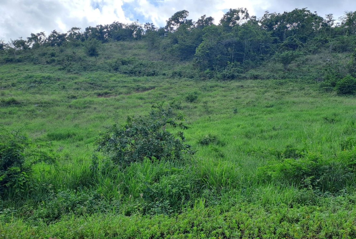 First image of 11b Part of Brokenhurst in Broken Hurst, Manchester, Jamaica - property is For Sale