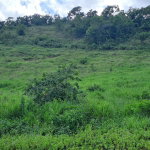 First image of 11b Part of Brokenhurst in Broken Hurst, Manchester, Jamaica - property is For Sale