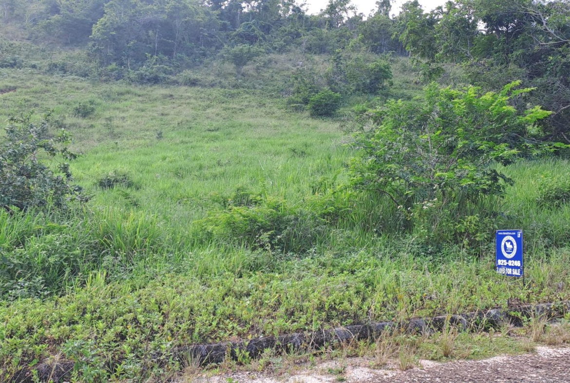 Third image of 11b Part of Brokenhurst in Broken Hurst, Manchester, Jamaica - property is For Sale