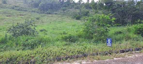 Third image of 11b Part of Brokenhurst in Broken Hurst, Manchester, Jamaica - property is For Sale