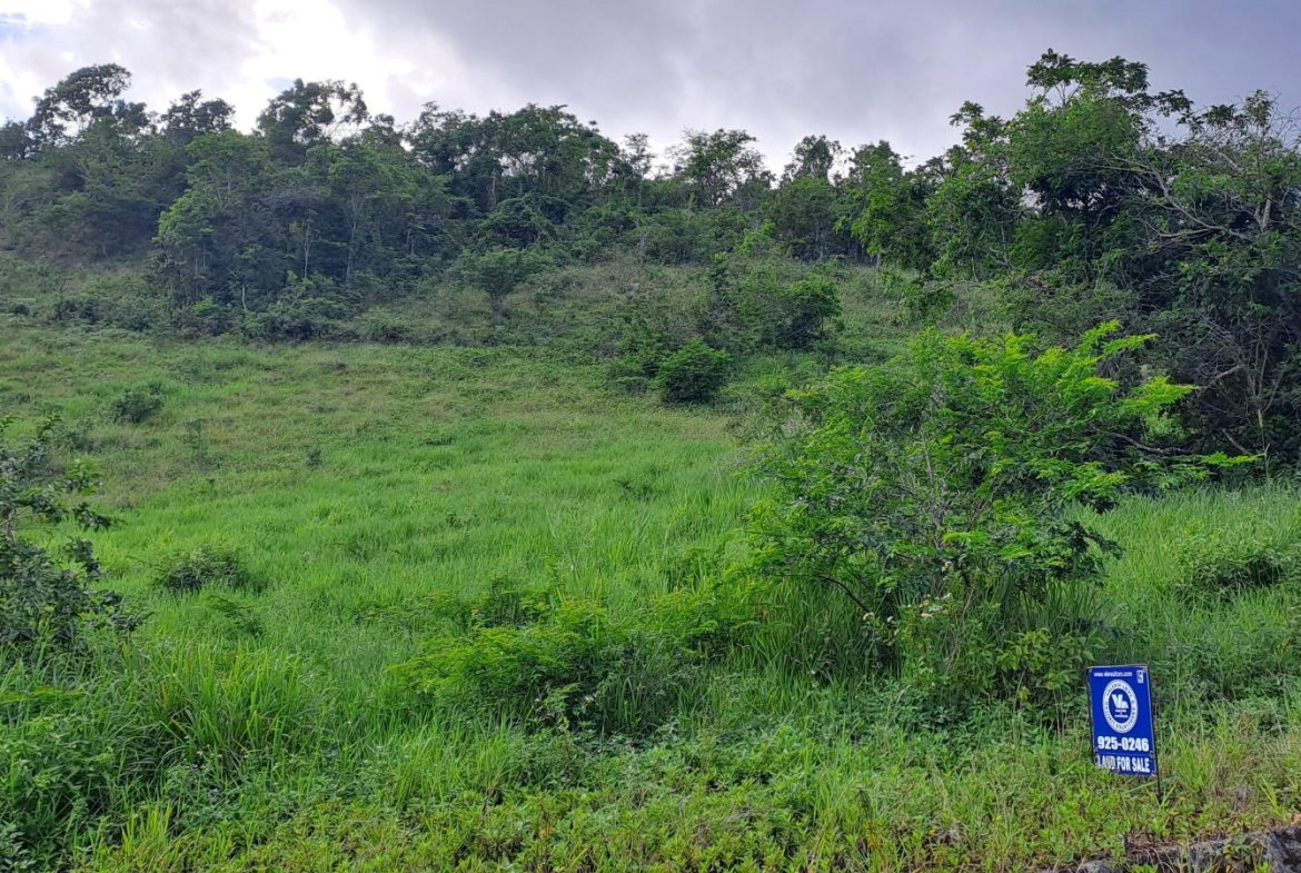 Fourth image of 11b Part of Brokenhurst in Broken Hurst, Manchester, Jamaica - property is For Sale