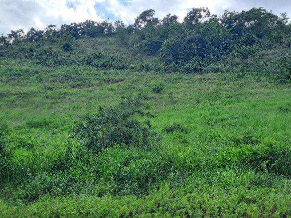 First image of 11b Part of Brokenhurst in Broken Hurst, Manchester, Jamaica - property is For Sale