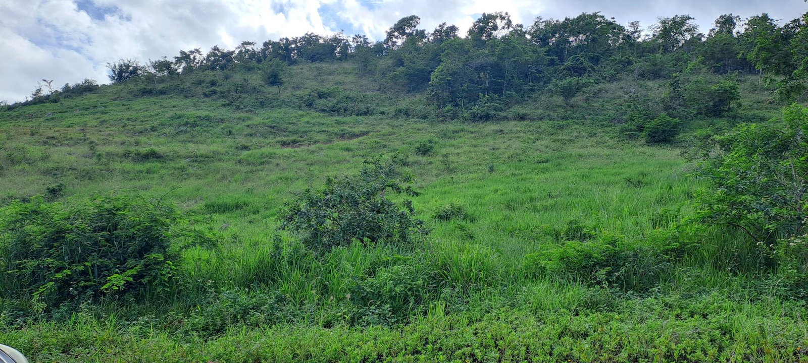 First image of 11b Part of Brokenhurst in Broken Hurst, Manchester, Jamaica - property is For Sale