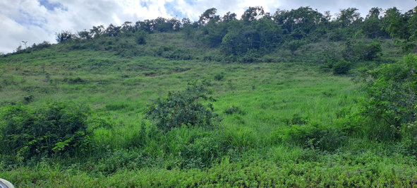 First image of 11b Part of Brokenhurst in Broken Hurst, Manchester, Jamaica - property is For Sale