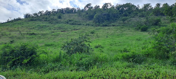 First image of 11b Part of Brokenhurst in Broken Hurst, Manchester, Jamaica - property is For Sale