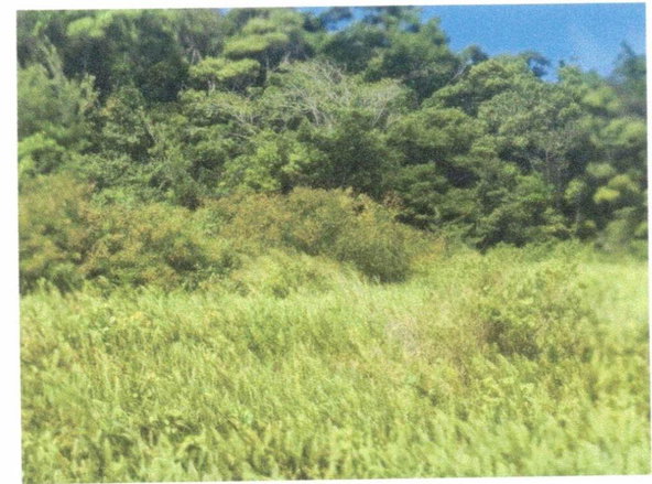 Third image of Lot 136 Moorlands Manor in Moorlands Phase1&2, Manchester, Jamaica - property is For Sale